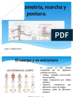 presentacion antropometria.pdf