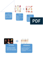 Tarea Sistema