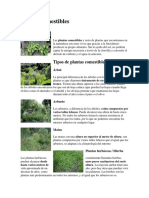 Plantas Comestibles