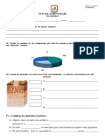 Articles-19390 Recurso PDF Fotosintesis Preguntas