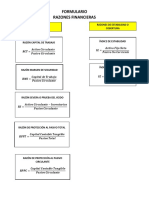 Formulario Razones Financieras 