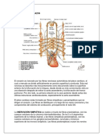 387181828-tarea-2