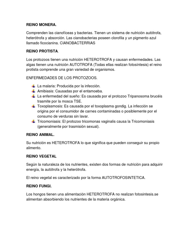 Respiración y nutrición en el reino Monera | PDF | Respiración | Pulmón