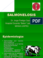 Salmonelosis: Epidemiología, Clínica, Diagnóstico y Tratamiento