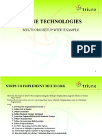 Triune Technologies: Multi Org Setup With Example