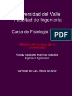 Arboles Del Campus Universidad Del Valle