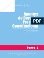 Apuntes - Derecho Procesal Constitucional Tomo 3 - 1ra - PDF