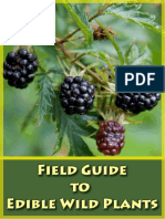 Field Guide To Edible Wild Plants PDF