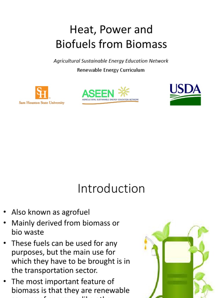 Biofuels: Renewable Energy from Biomass | PDF | Algae Fuel | Biofuel