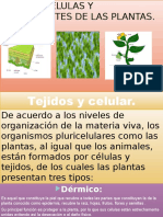 Tarea Biologia