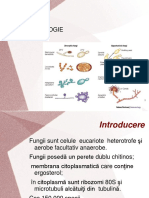 CURS 11 Micologie