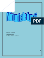 1_pdf-minunile_lu.pdf