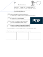 Prueba de Ciencias Naturales Las Plantas Cof2