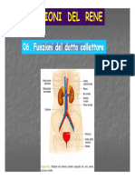 06 Dotto Collettore 19 PDF