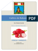 CULTIVO DE RABANITO.docx