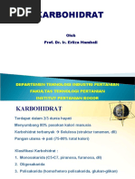 Download SatPros-Karbohidrat-2010 by Dimas Surya Utama SN38722796 doc pdf