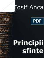 Iosif Anca - Principii sfinte