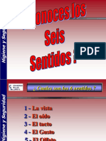 6 Sentidos