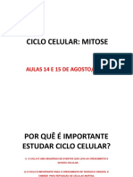 Ciclo Celular PDF