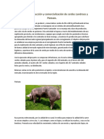 Incubación, Producción y Comercialización de Cerdos Pietrain y Landrace