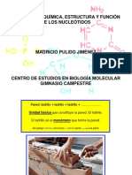 Estructura y Función de Nucleótidos 1