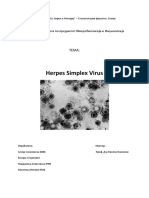 Seminarska Mikro Herpes Simplex Virus