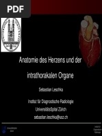 41660726 Anatomie Des Herzens Radiologie (1)