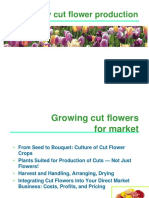 Greenhouse Cutflower Production_HollyScoggins.pdf