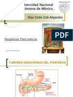 Neoplasias Pancreáticas