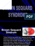 brown sequard sindr.ppt