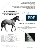 Manual Practicas Anatomia Veterinaria Aplicada