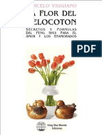 melocoton_demo.pdf