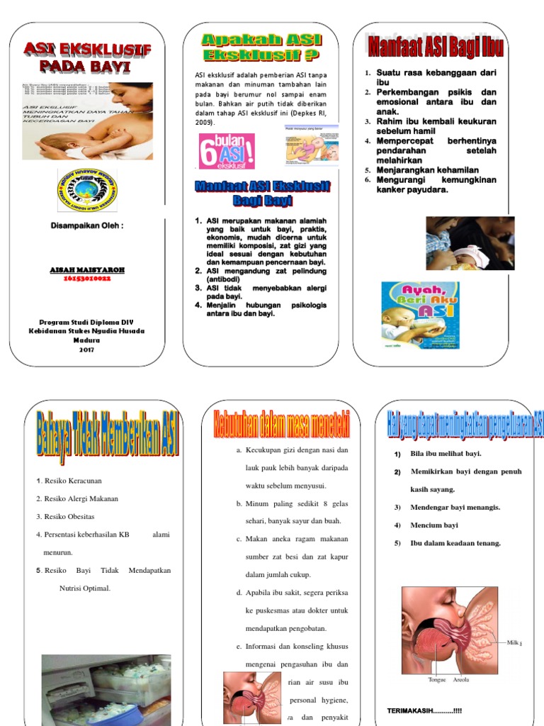 Leaflet Asi Eksklusif | PDF