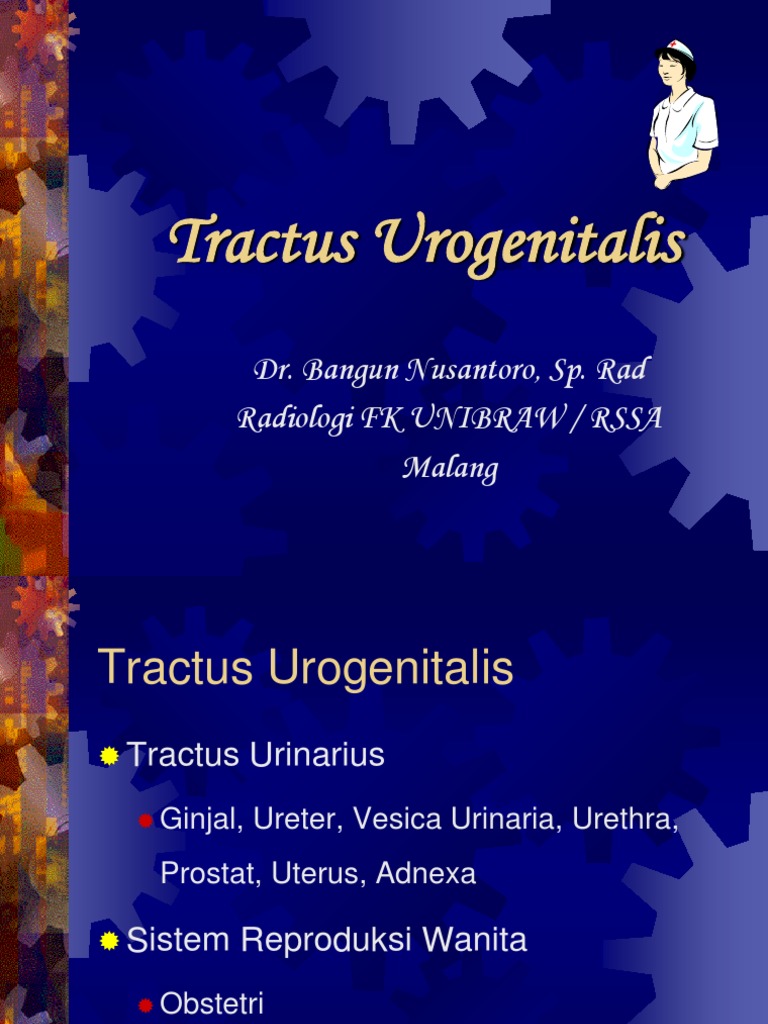 tractus