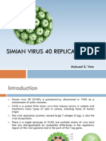 Simian Virus 40 Replication