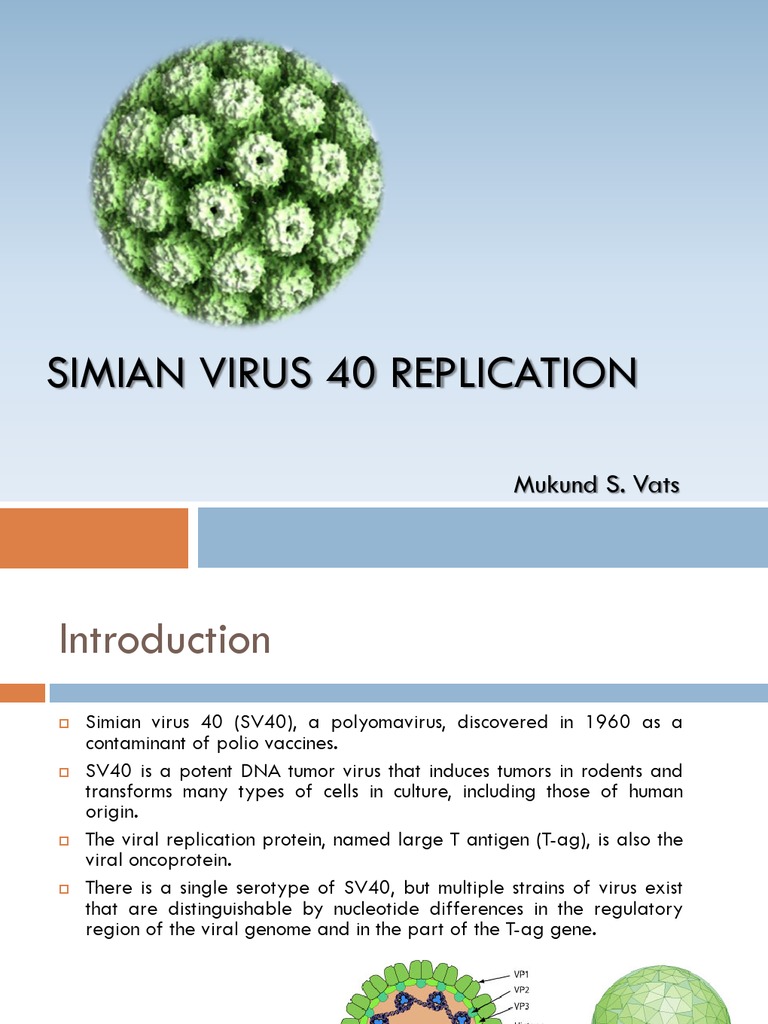 Simian Virus 40 Replication | Virus | Earth & Life Sciences
