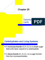 Carbohydrates and Lipids Summary