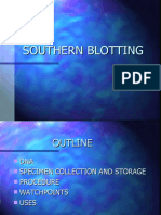 Guide to Southern Blotting DNA Detection Technique