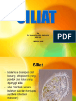 siliat