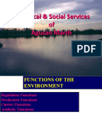 Ecological &amp Social Services of Agusan Marsh