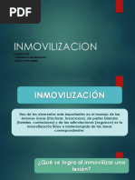 Inmovilizacion 2018