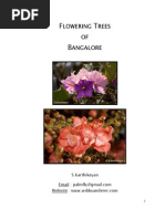 Download Trees Bangalore by NaveenMN SN38745965 doc pdf
