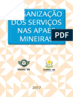 Organização dos serviços nas Apaes mineiras