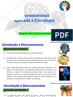 Neuroanatomia