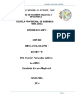 informe-de-campo-i-                           vetas                           maykohol.docx