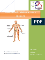 Ufcd 9137 Anatomia Do Sistema Veno-Linf Á Tico Í Ndice