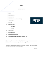 FORMATO RESUMEN EJECUTIVO.docx