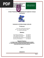 Reporte Practicas 4. EXTRACCION Y PURIFI