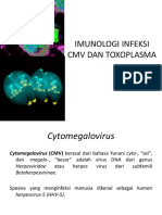Cmv Dan Toxoplasma-residen19042012