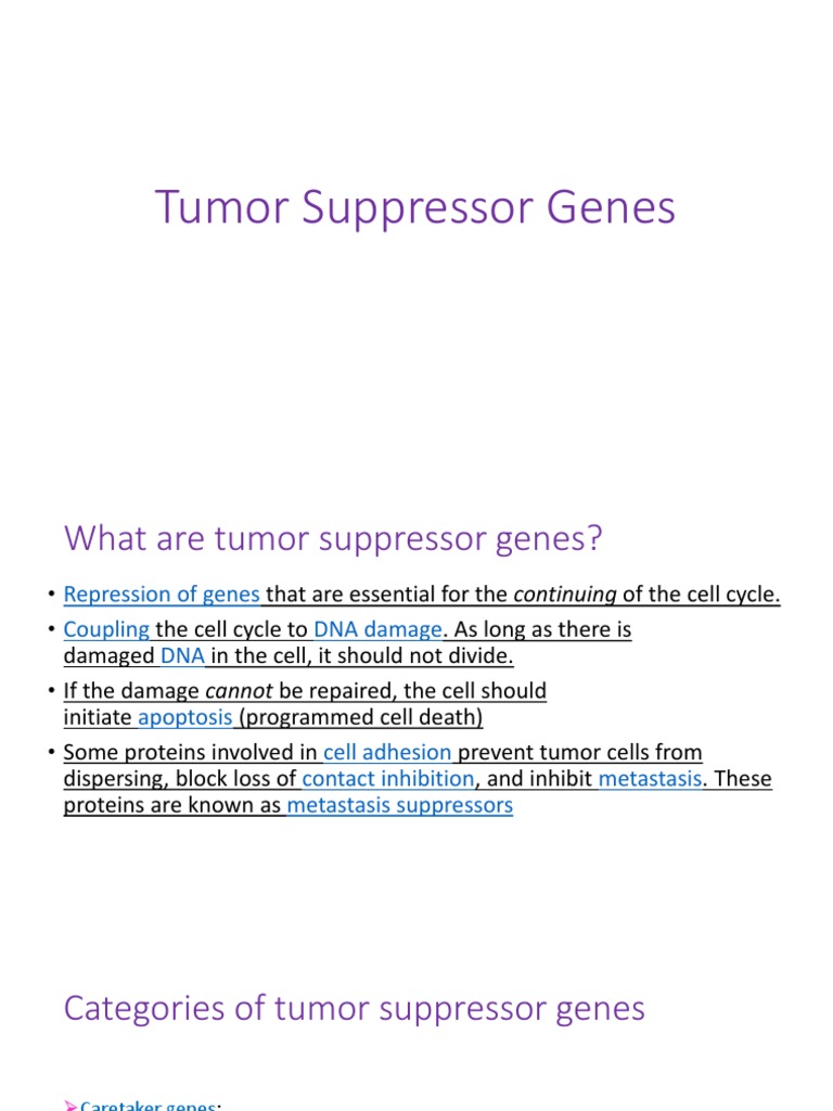 Overview of Tumor Suppressor Genes | PDF | P53 | Neoplasms
